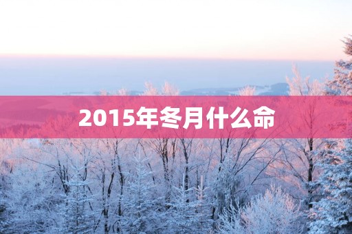 2015年冬月什么命