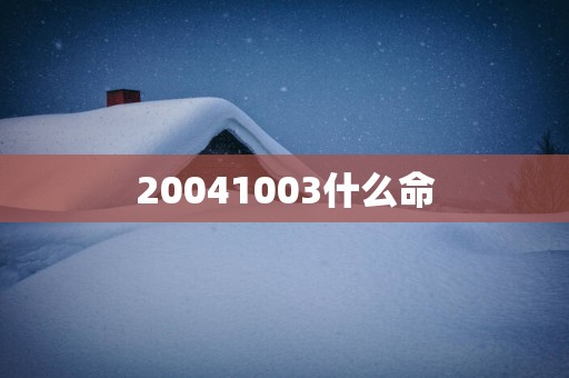 20041003什么命