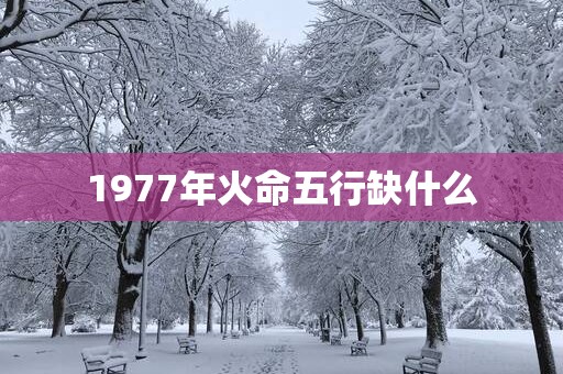 1977年火命五行缺什么
