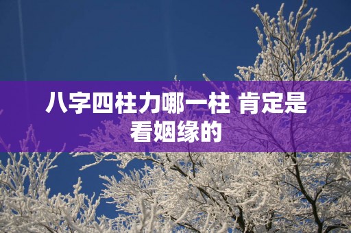 八字四柱力哪一柱 肯定是看姻缘的