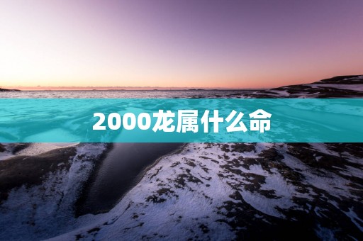 2000龙属什么命