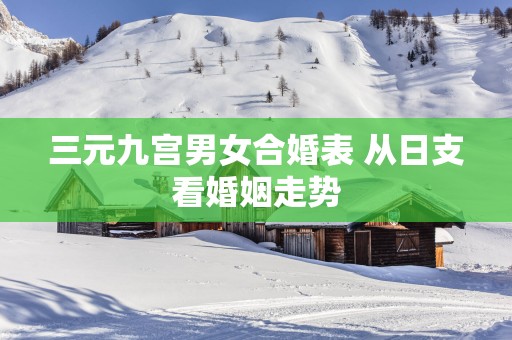 三元九宫男女合婚表 从日支看婚姻走势