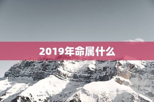 2019年命属什么