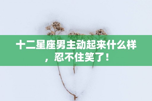 十二星座男主动起来什么样，忍不住笑了！