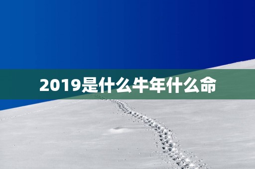 2019是什么蛇年什么命