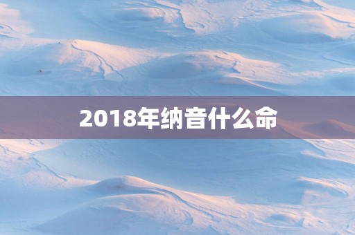 2018年纳音什么命