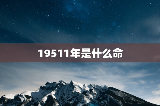 19511年是什么命