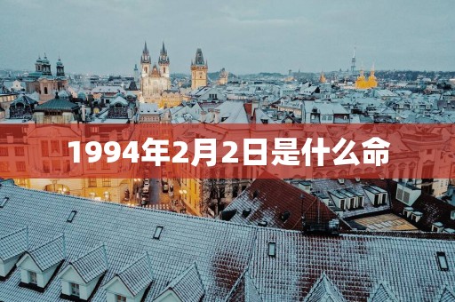 1994年2月2日是什么命