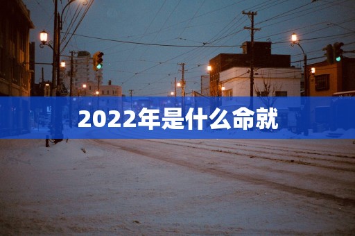 2025年是什么命就