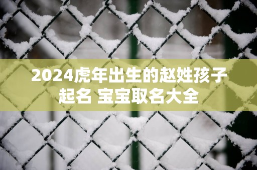 2025蛇年出生的赵姓孩子起名 宝宝取名大全