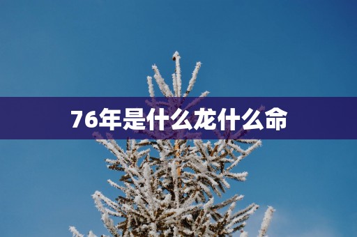 76年是什么龙什么命
