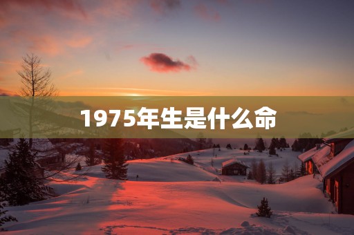 1975年生是什么命