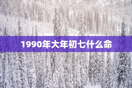 1990年大年初七什么命
