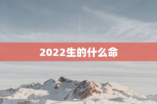 2025生的什么命
