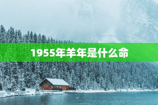 1955年羊年是什么命