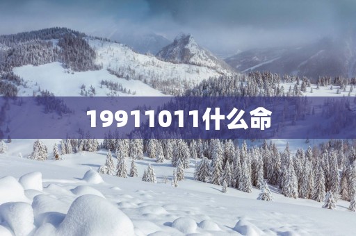 19911011什么命