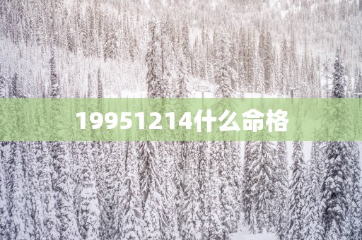 19951214什么命格