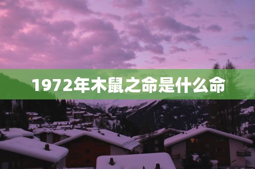 1972年木鼠之命是什么命