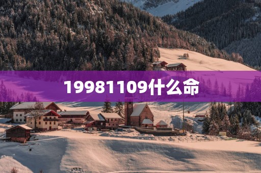 19981109什么命