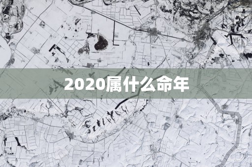2025属什么命年