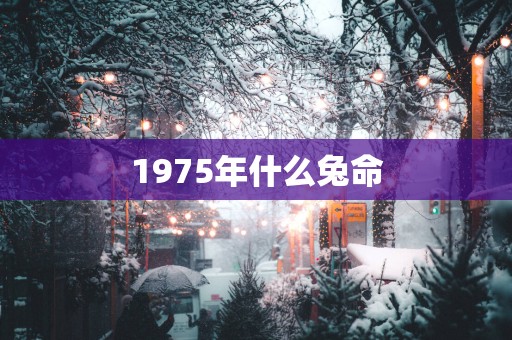 1975年什么兔命