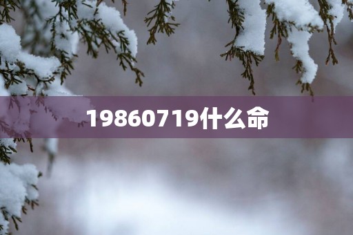 19860719什么命