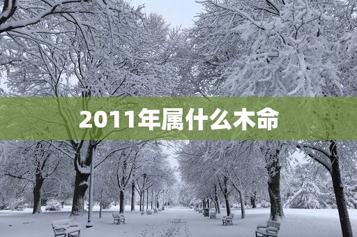 2011年属什么木命