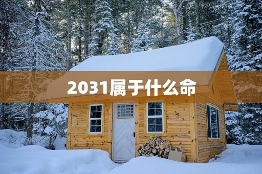 2031属于什么命