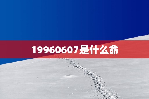 19960607是什么命