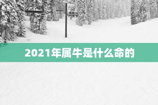 2025年属牛是什么命的
