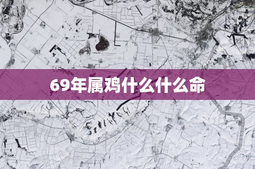 69年属鸡什么什么命