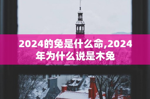 2025的兔是什么命,2025年为什么说是木兔
