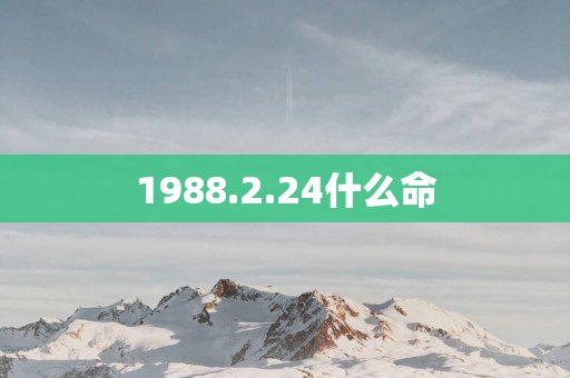 1988.2.24什么命