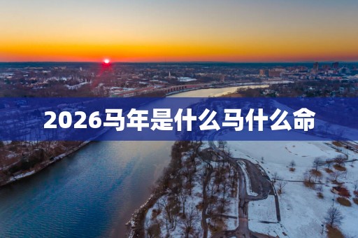 2026马年是什么马什么命