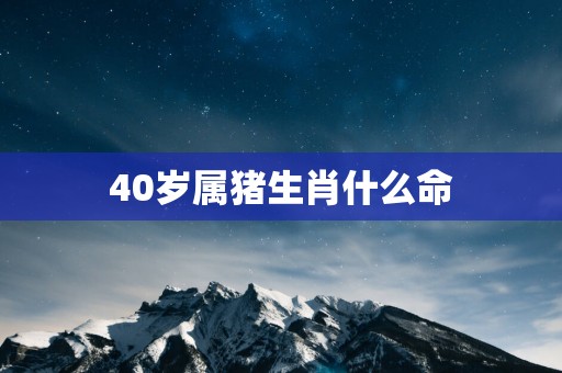 40岁属猪生肖什么命