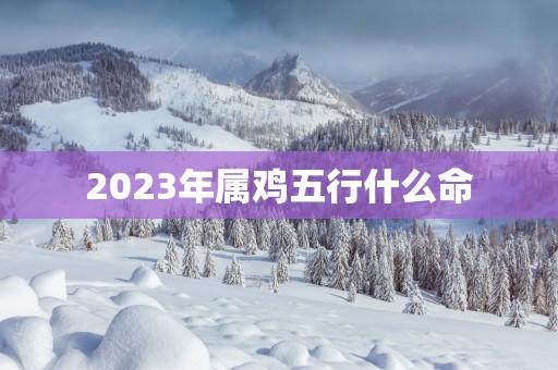 2025年属鸡五行什么命