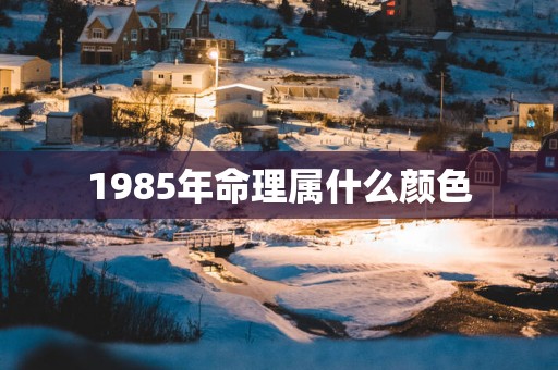 1985年命理属什么颜色