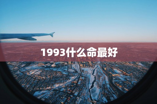 1993什么命最好