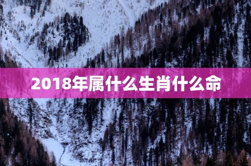 2018年属什么生肖什么命