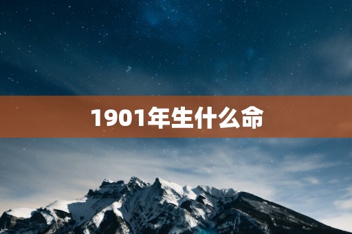1901年生什么命