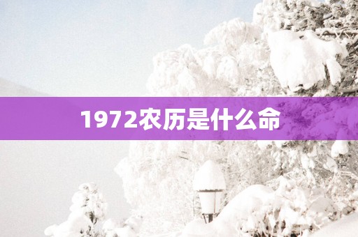 1972农历是什么命