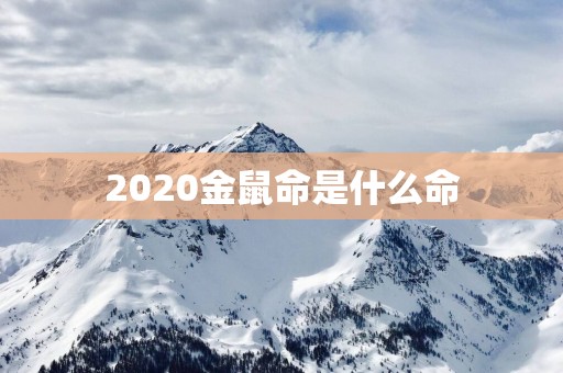 2025金鼠命是什么命