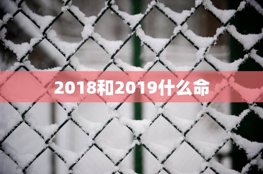 2018和2019什么命