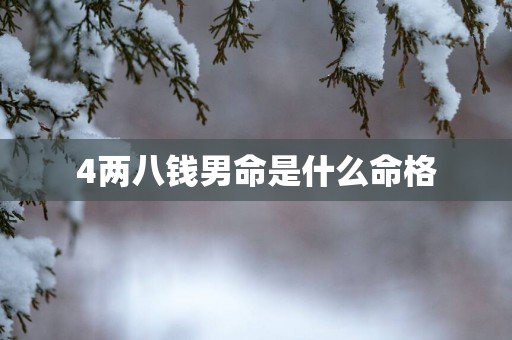 4两八钱男命是什么命格