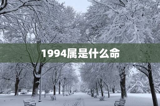 1994属是什么命