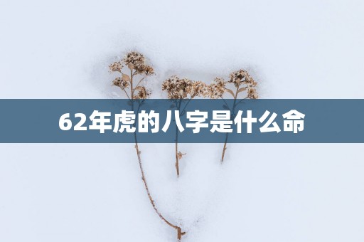 62年虎的八字是什么命