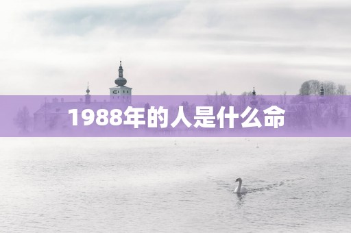 1988年的人是什么命