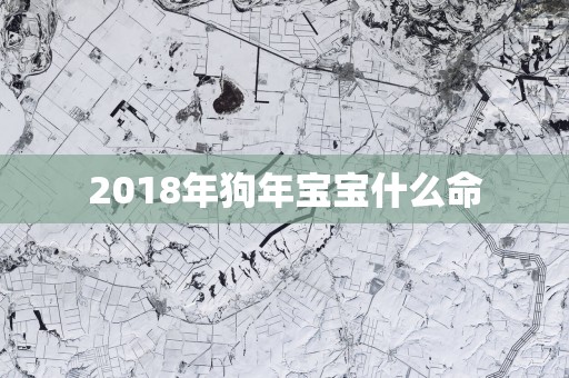 2018年狗年宝宝什么命