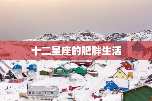 十二星座的肥胖生活