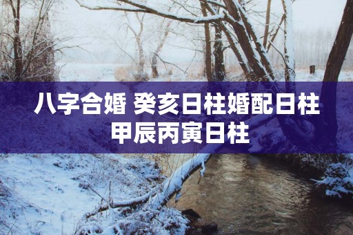 八字合婚 癸亥日柱婚配日柱 甲辰丙寅日柱